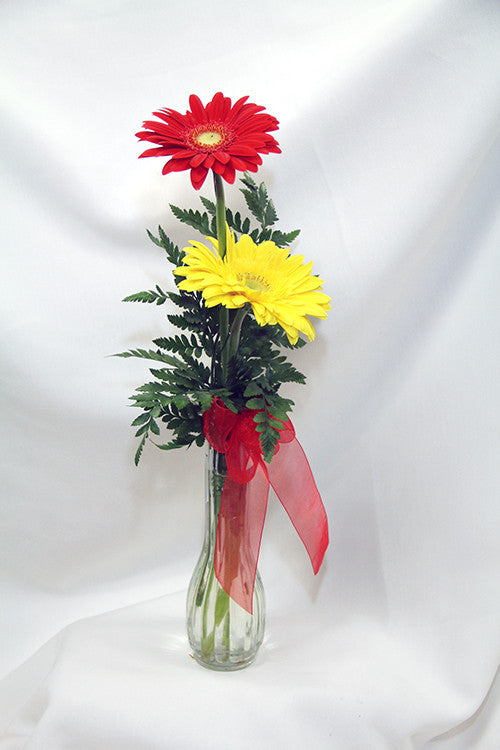 Gerbera Daisy Bud Vase